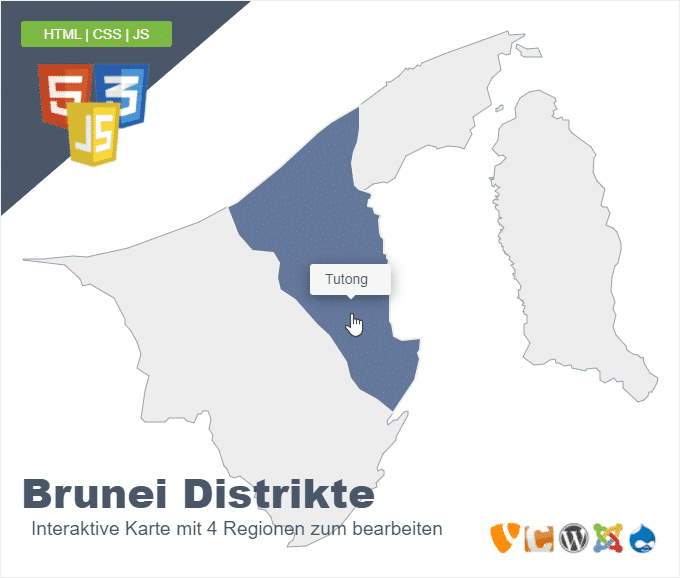 Brunei Distrikte