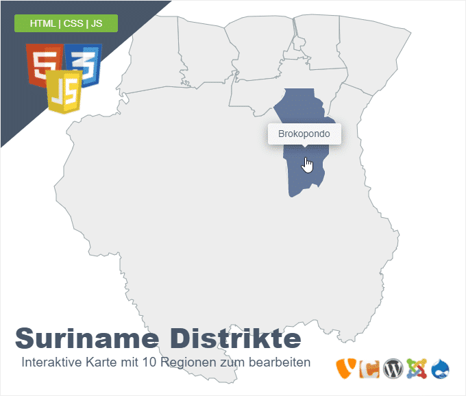 Suriname Distrikte